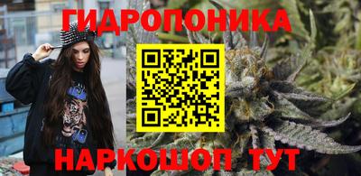 бошки Дубна