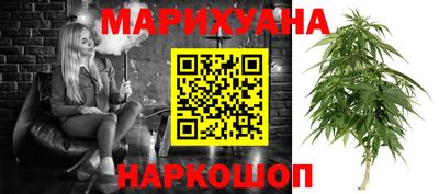 стафф Донецк