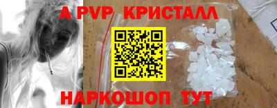 стафф Донецк