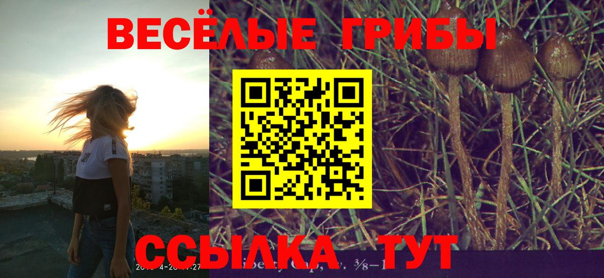 Псилоцибиновые грибы Psilocybine cubensis  купить наркоту  Галлюциногенные грибы Magic Shrooms  Нижний Новгород  Вход с VPN 