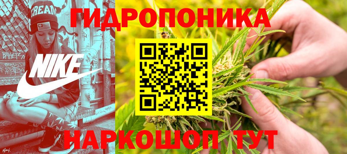 Бошки марихуана марихуана Нижний Новгород